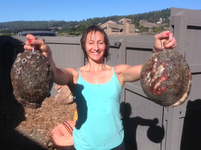 trophy abalone diving, Abalone Divers, Sea Ranch, Abalone Season 2015, abalone