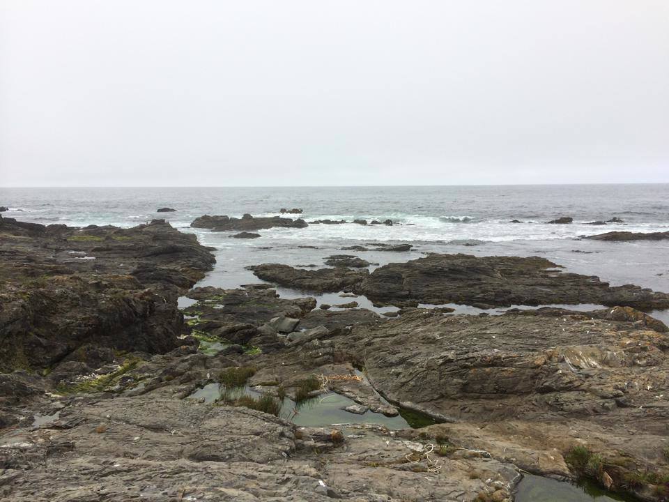 Rocky area before Smuggler's Cove with tide pools