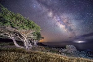 Milky way at Sea Ranch with cypress in foreground and ocean in background