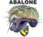 ,Abalone Season 2017, Randy Fry Memorial Dive Tournament, family event, abalone tournament
