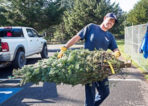 Sea Ranch special events, christmas tree sale