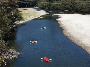 Kayakers paddling on the Gualala River