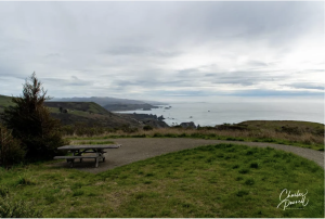 Jenner Sonoma State Beach Vista Trail with picnic bench, ocean in background